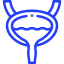 Bladder Treatment