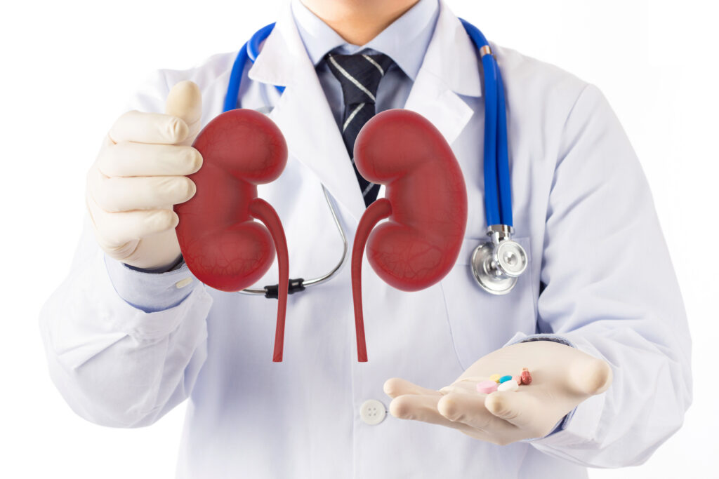Kidney specialist in Vadodara showing kidney model and medicine pills to patient